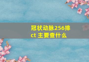 冠状动脉256排ct 主要查什么